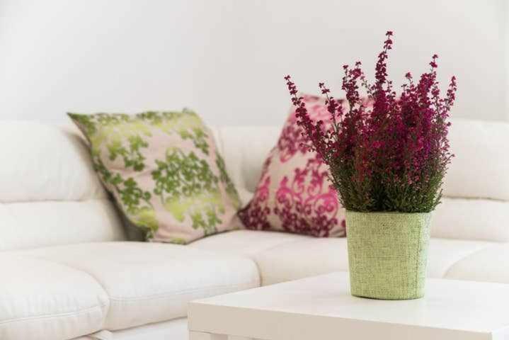 Appartement Mediterranean House Nettuno Extérieur photo